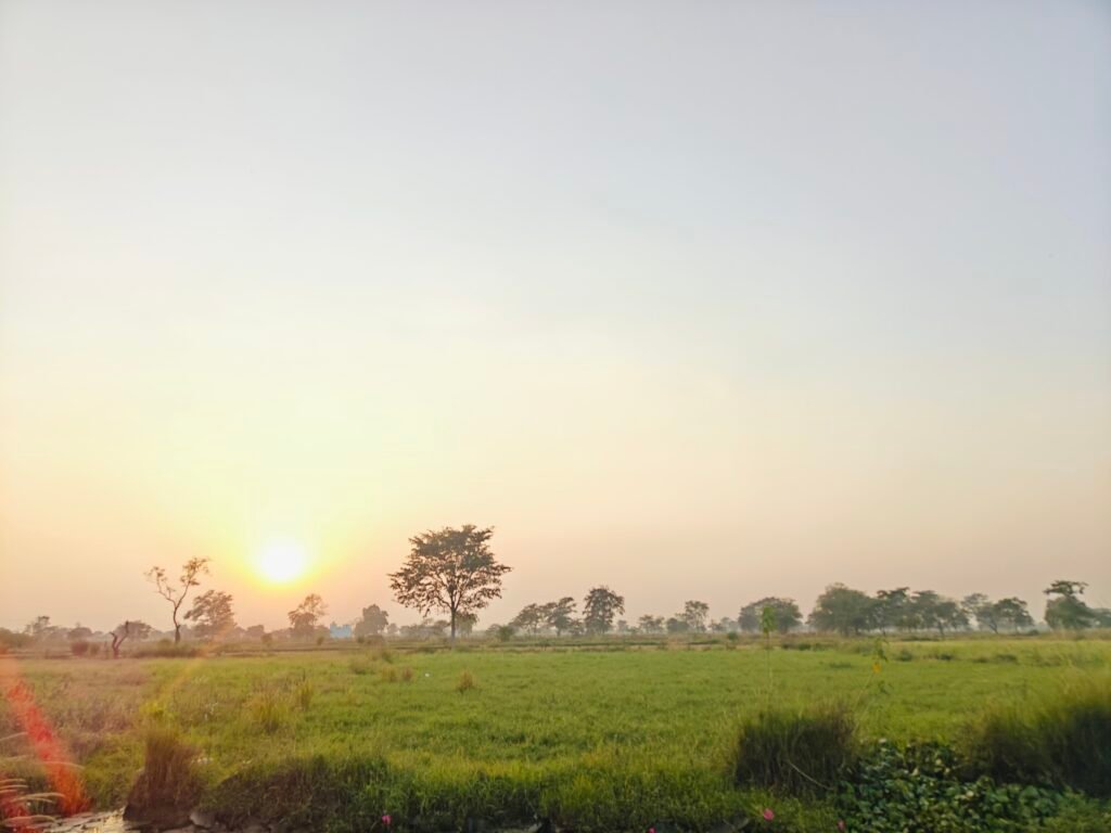 Diverted Plot for Sale in Rudri Road Dhamtari