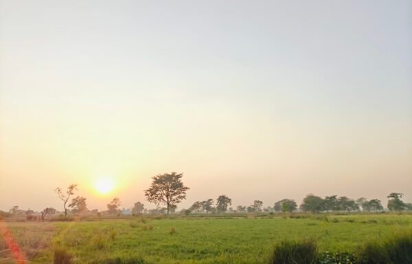 Diverted Plot for Sale in Rudri Road Dhamtari