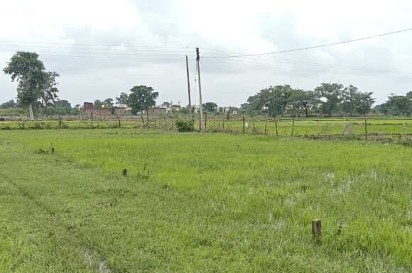 Commercial Plot for Sale Amatalab Road Dhamtari – 220 Sq.Ft.