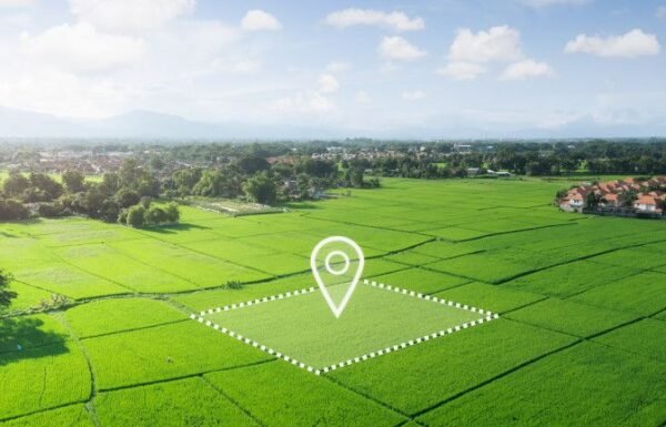 Commercial Plot for Sale Amatalab Road Dhamtari – 220 Sq.Ft.