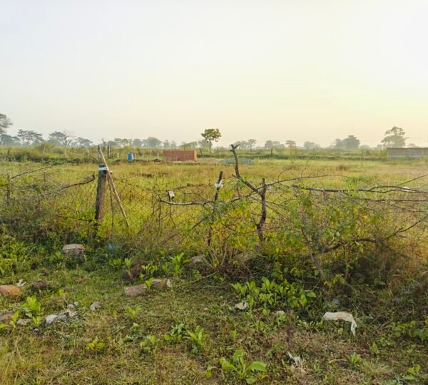 Large Commercial Plot for Sale Ambedkar Chowk Dhamtari 20000 sqft