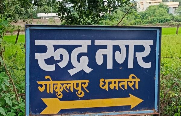 Adivasi Diverted Plot for Sale in Rudri Nagar Colony Dhamtari near St. Xavier’s School