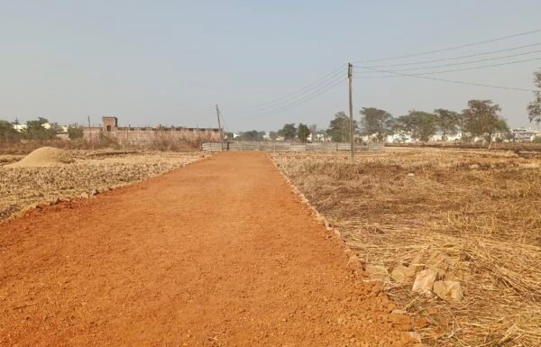 Diverted Plot for Sale in Rudri Road Dhamtari