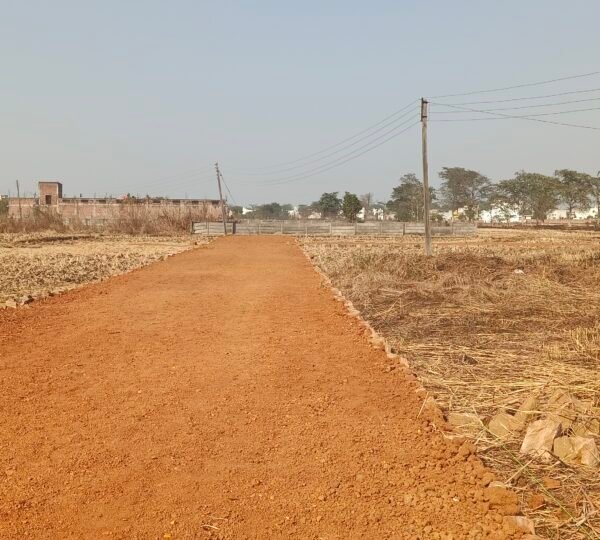 Diverted Plot for Sale in Rudri Road Dhamtari