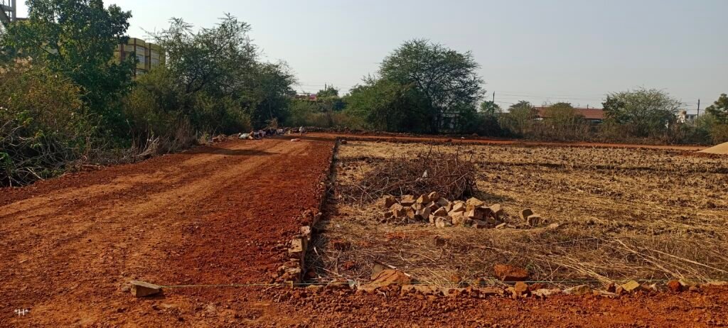 Residential Plot for Sale near Collectorate Road Dhamtari