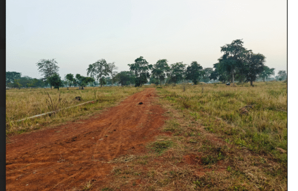 Residential Plot for Sale Rudri Road Balaji Colony Dhamtari near Kali Mandir