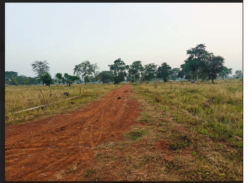 Residential Plot for Sale Rudri Road Balaji Colony Dhamtari near Kali Mandir