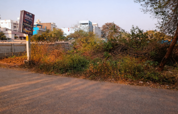 Plot for Sale Rudri Road Jalvihar Colony Dhamtari 1000 sqft