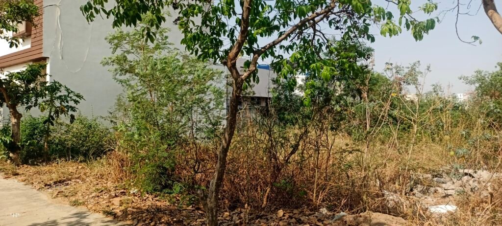 Residential Plot for Sale Amaltas Puram Colony Dhamtari
