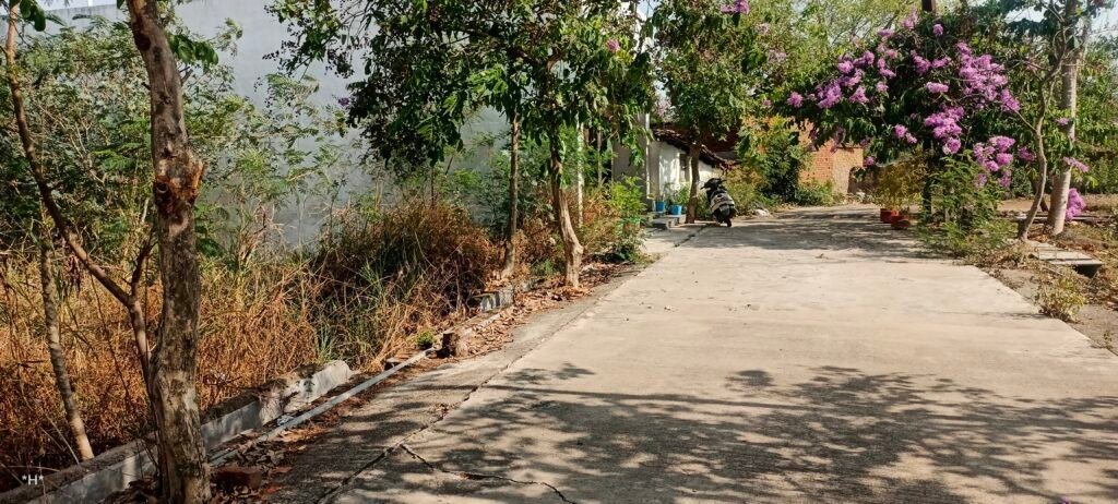 Residential Plot for Sale Amaltas Puram Colony Dhamtari